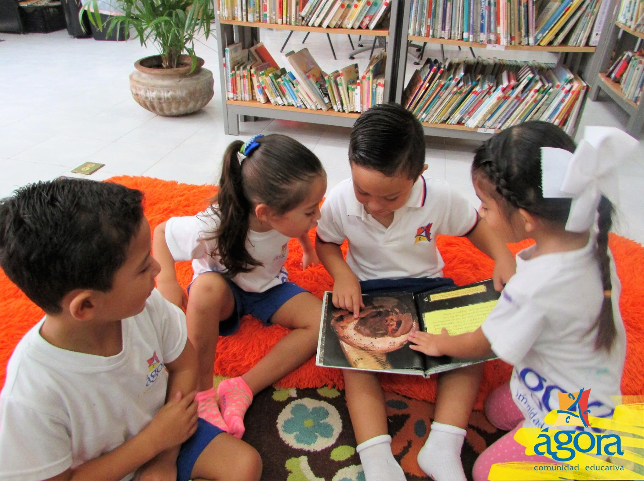 Cómo favorecer el hábito de la lectura en los niños Agora Comunidad